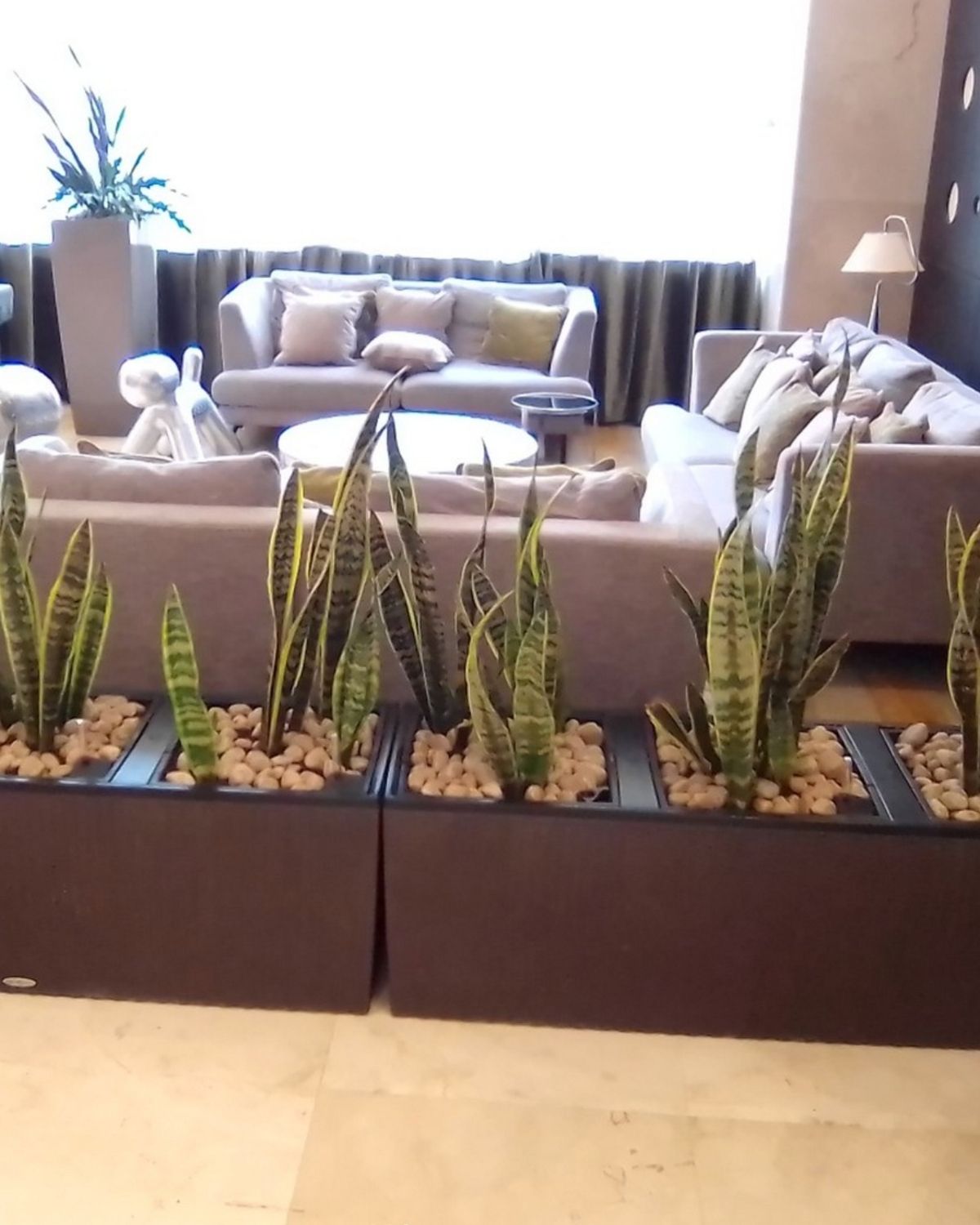 Hospitality interior-scaping by Catapult Nature