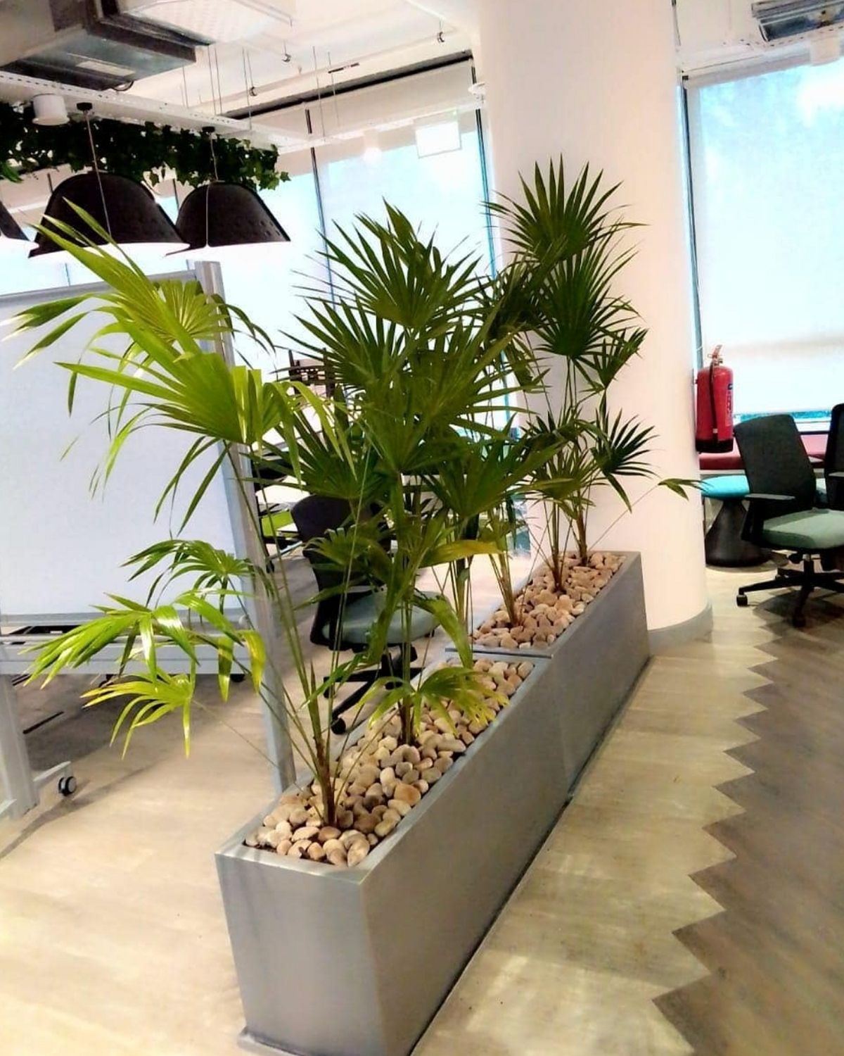 Corporate interior-scaping project