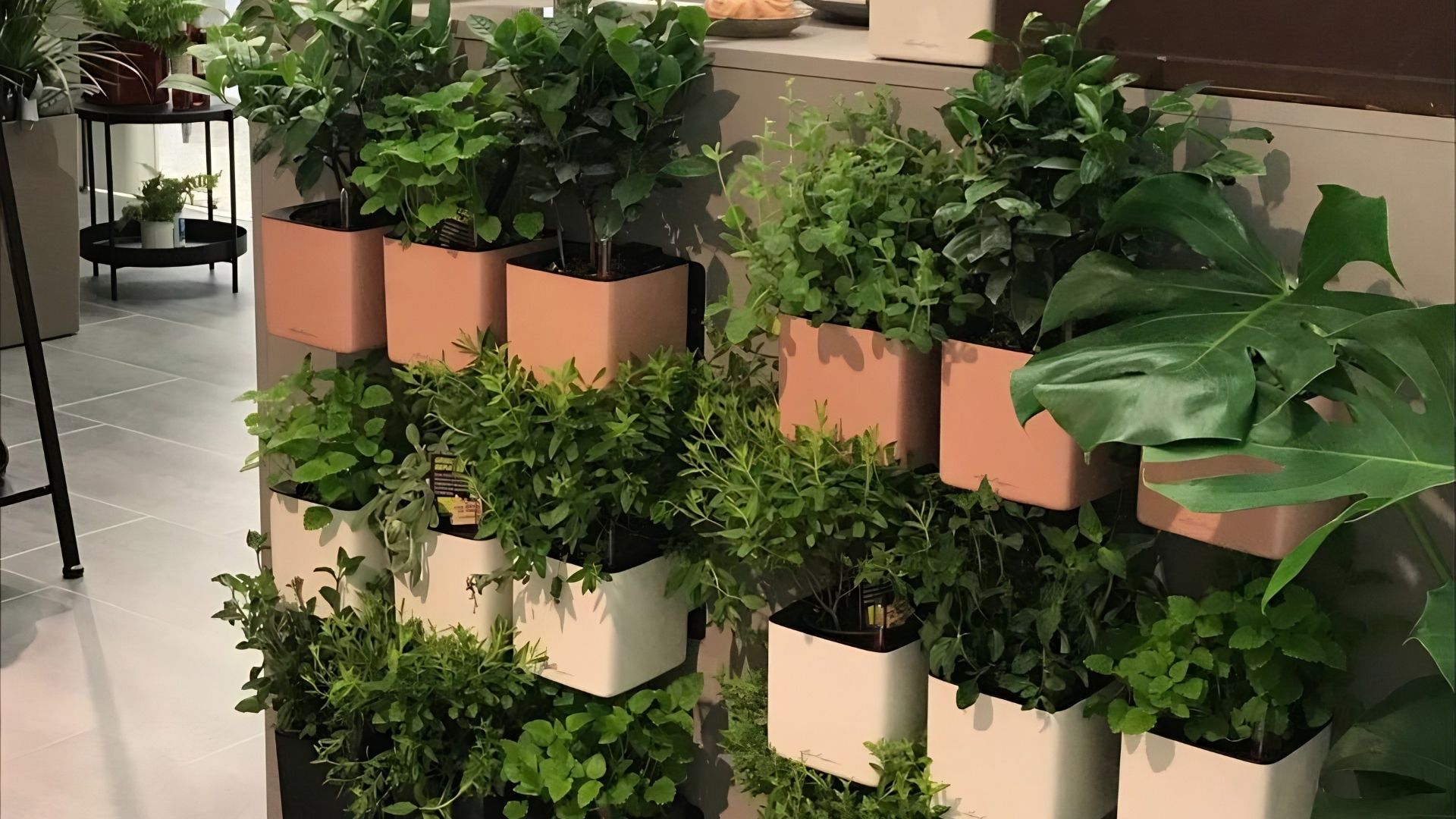 Catapult Nature shop