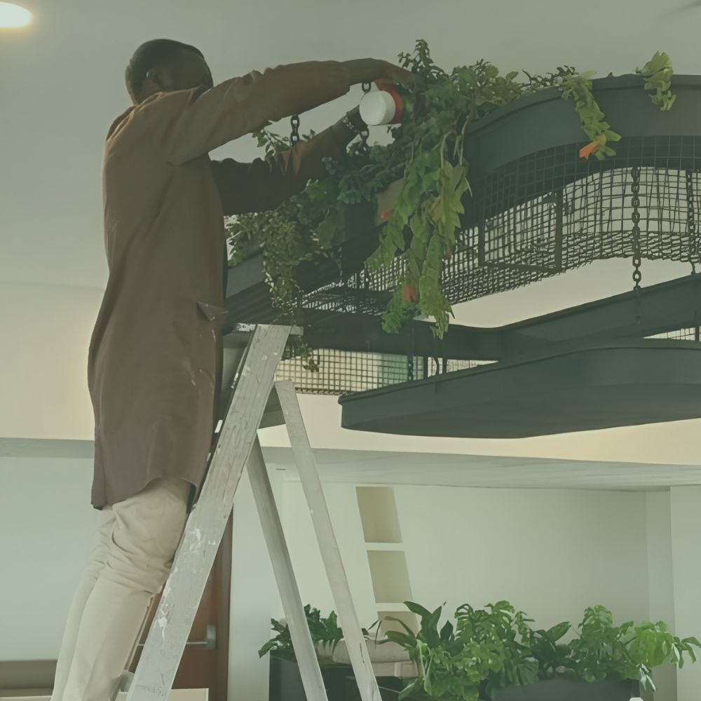 Design & Installation